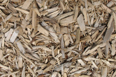 biomass boilers Hadspen